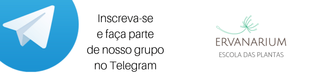 Grupo de alunos do Ervanarium no Telegram