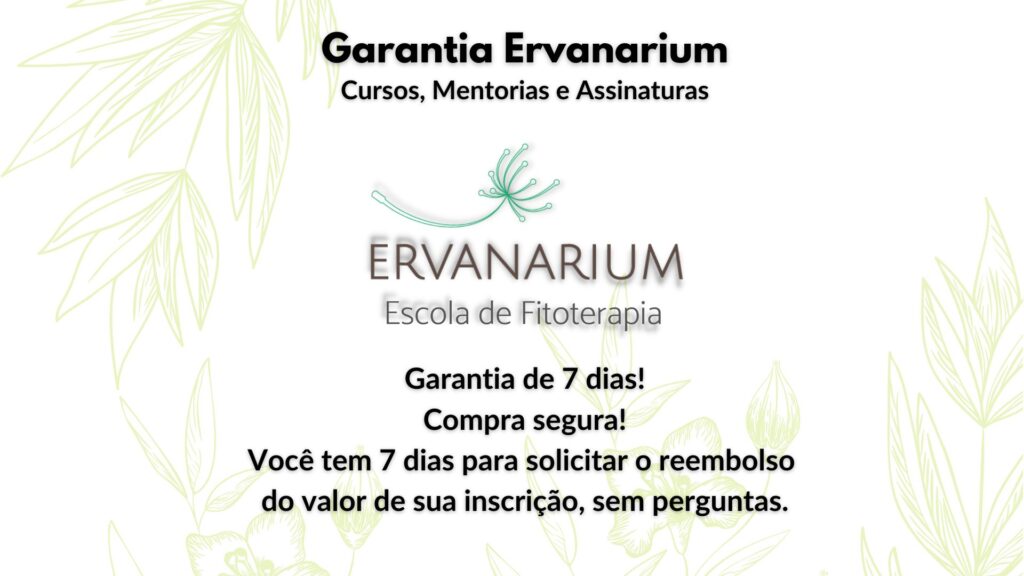 Feno Grego - Plantas Medicinais - Ervanarium - Escola das Plantas