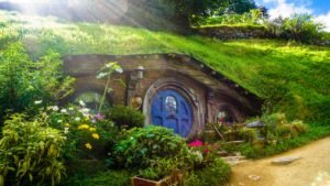 Um jardim terapêutico é uma benção na vida de todos.
