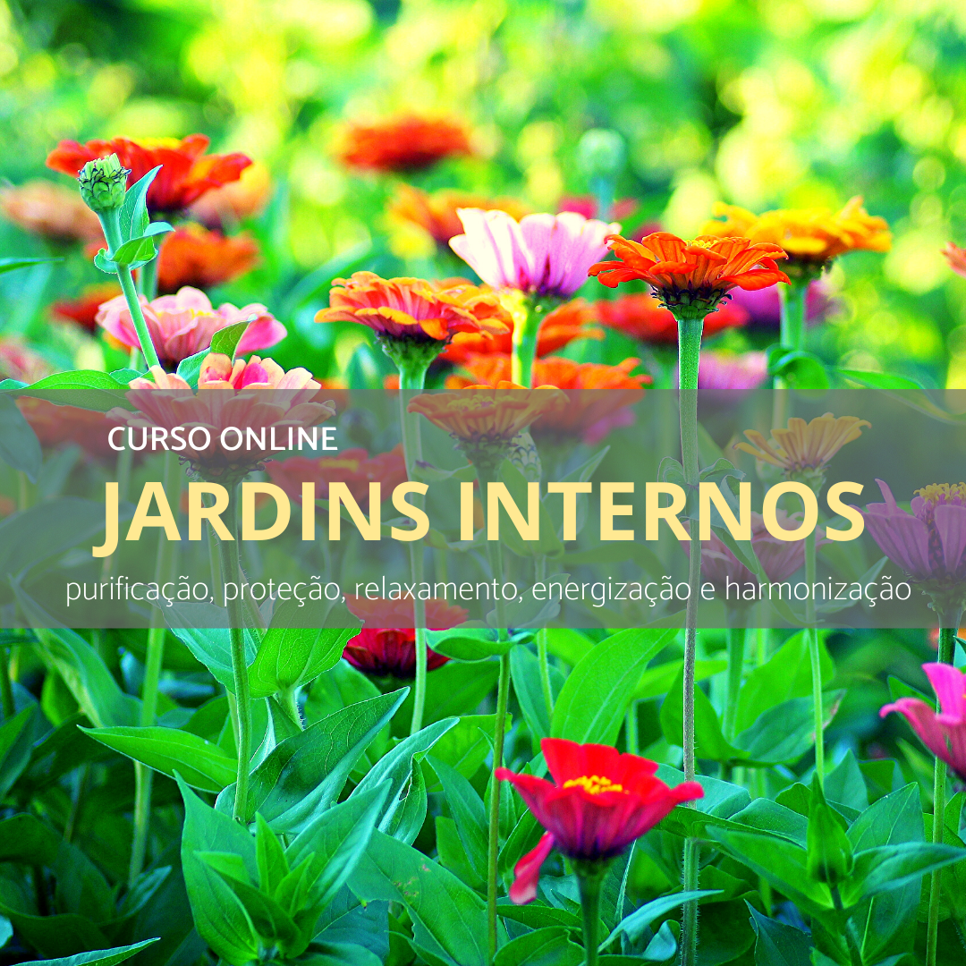 Curso online Jardins Internos