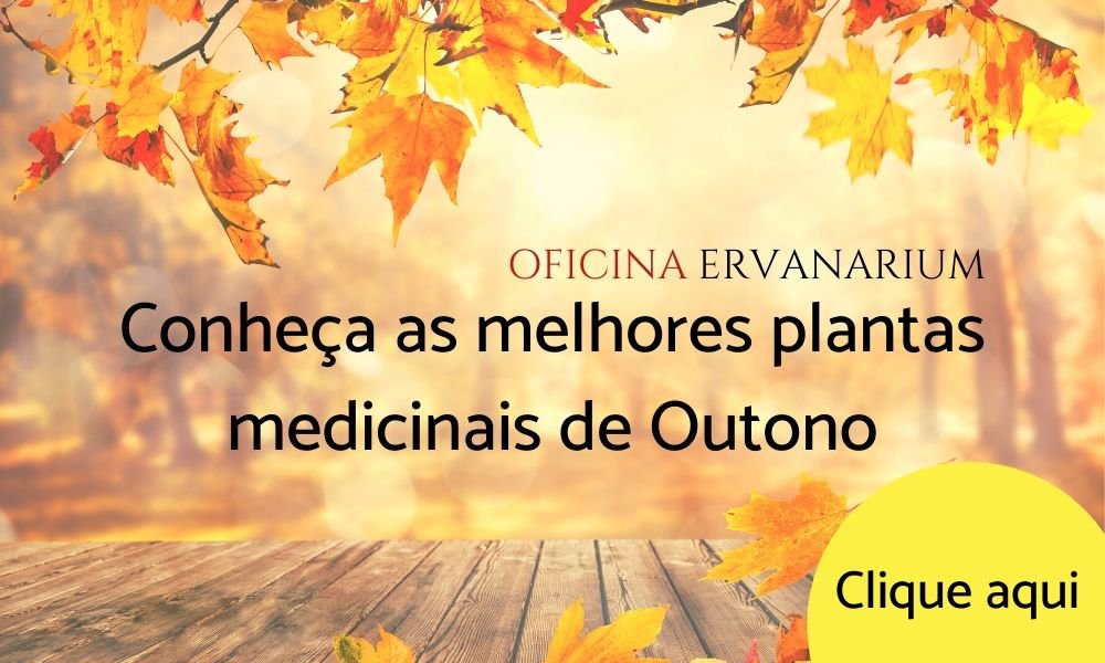 Ervas